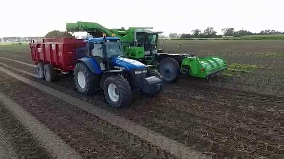 Aardappelen rooien in Zeeland