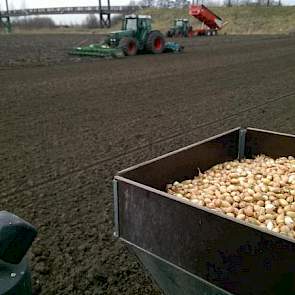 De akkerbouwer plantte vandaag 7 hectare Jetset.