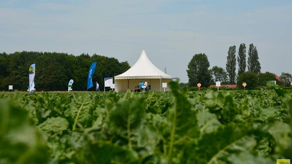 Nieuw in het programma dit jaar is het Bietenplein waar alle actualiteiten rondom de teelt van suikerbieten worden getoond.