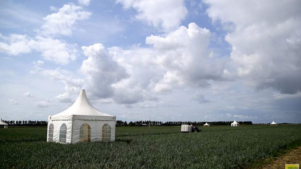 In de pagodetenten presenteren deskundigen donderdag de proeven met gewasbeschermingsmiddelen, onkruidmiddelen, rassen en meststoffen aan de bezoekers.