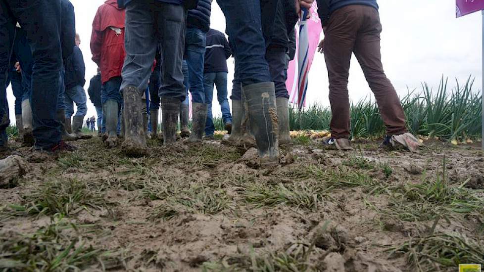 Door de vele regen die in de afgelopen tijd is gevallen, is het erg drassig op de proefvelden.