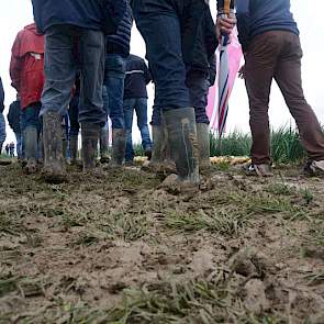 Door de vele regen die in de afgelopen tijd is gevallen, is het erg drassig op de proefvelden.