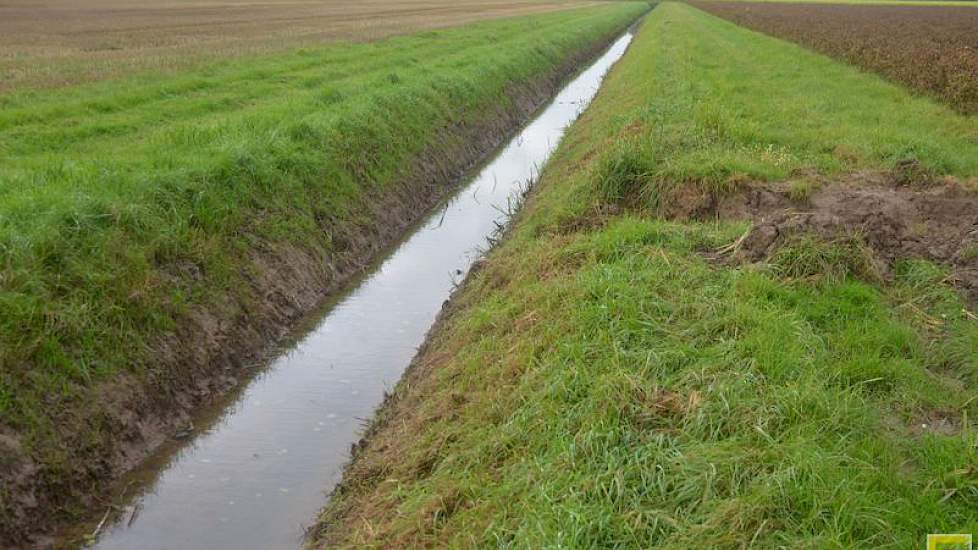 Het waterpeil in de sloot is inmiddels sterk gezakt. Drie weken geleden stond het water hoger dan de slootkanten en stond alles blank.