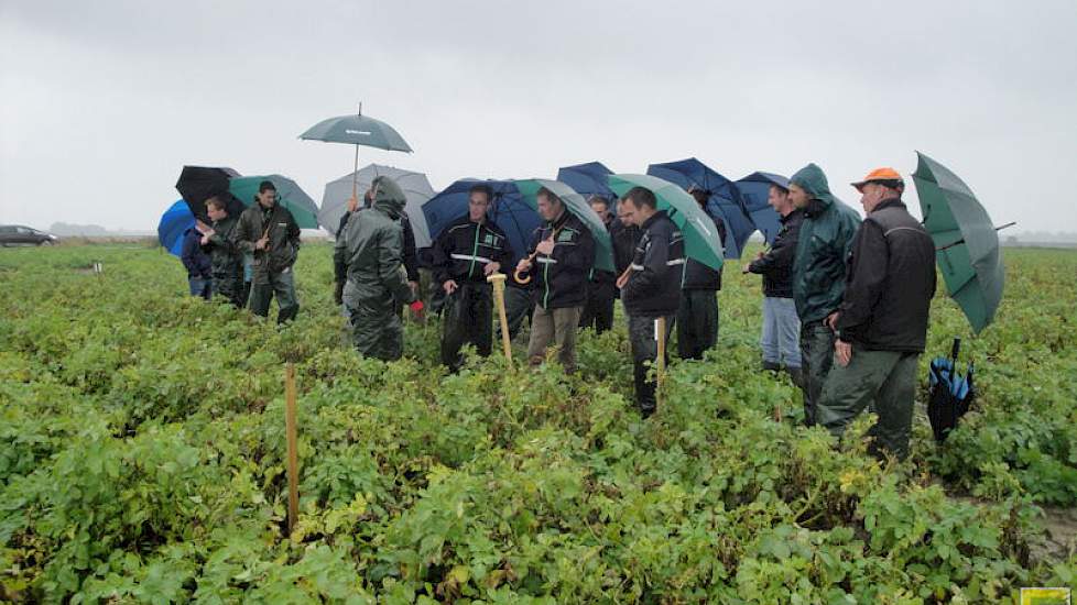 De excursie van CropSolutions van vorige week donderdag bekeek een perceel Agria's die minder gevoelig zijn voor doorwas dan de Bintjes.