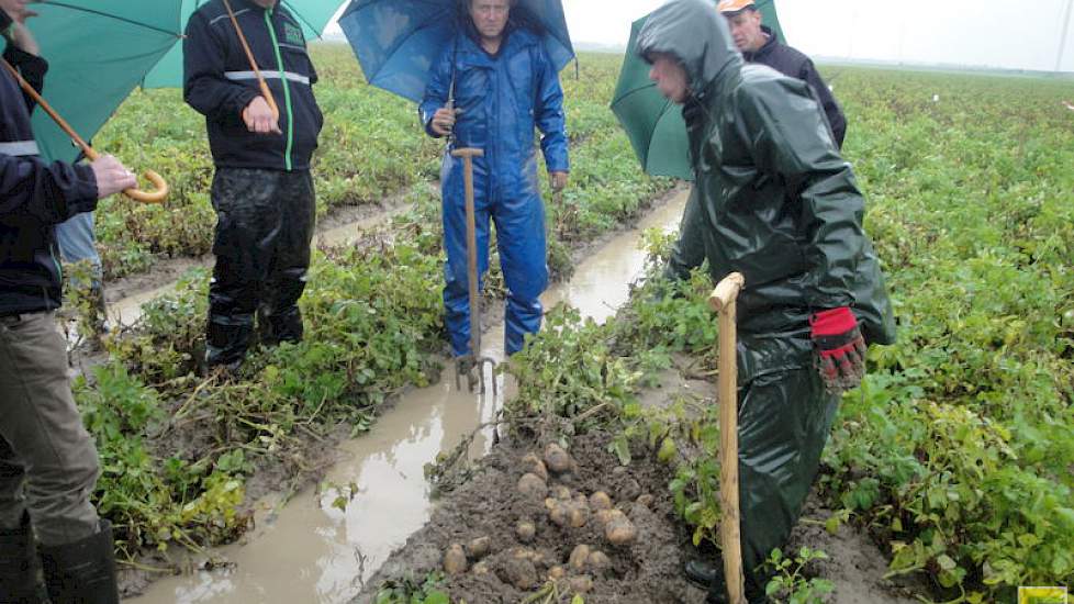 Zonder laarzen en paraplu was het veld bijna niet te bezoeken. Telers op Noord-Beveland en in de rest van de regio krijgen aardappelen en uien moeilijk van het land.