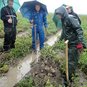 Zonder laarzen en paraplu was het veld bijna niet te bezoeken. Telers op Noord-Beveland en in de rest van de regio krijgen aardappelen en uien moeilijk van het land.