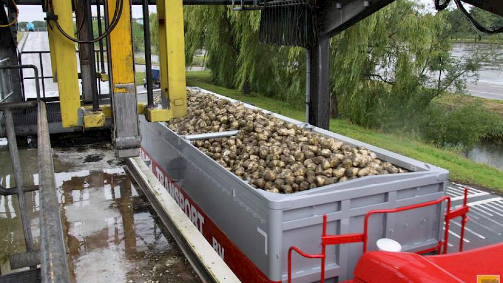 Na inwegen bepaalt het systeem of de vracht moet worden bemonsterd. Dit is bij eenderde van alle bieten het geval.