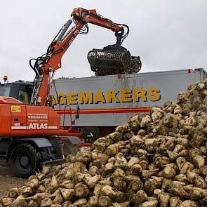 Kraanmachinist Jan Schouw grijpt de bieten bij Bouwmeester en deponeert ze in de wagen die de vracht naar Dinteloord brengt. Ook Schouw heeft diensten van 12 uur.