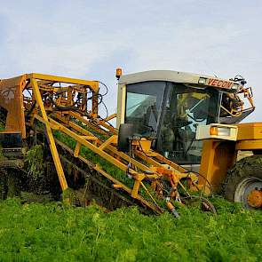 DH-Agro is gespecialiseerd in de gehele teelt van aardappelen, uien en wortelen. Naast contractteelt en loonwerk bij derden telen de ondernemers zelf een deel van hun areaal vrij. Deze peen is eigen teelt. Het ploegen, ruggen trekken en zaaien gebeurt in