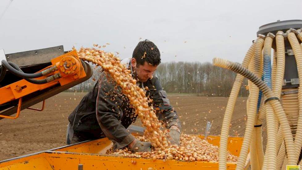 Patrick Dirven van Loonbedrijf Lokers deed het werk bij Wim Wijtvliet. Afgelopen maandag konden Dirven en Wijtvliet de 7 hectare uitjes doen.