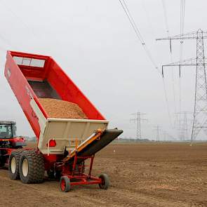 Totaal plant Loonbedrijf Lokers 250 hectare in zijn werkgebied West-Brabant. De eerste uien plantte het bedrijf op 6 februari. Raymond Lokers: „Die staan nu mooi boven. De grote hoop gebeurt nu. We zijn ook al begonnen met bieten zaaien en hebben de eerst