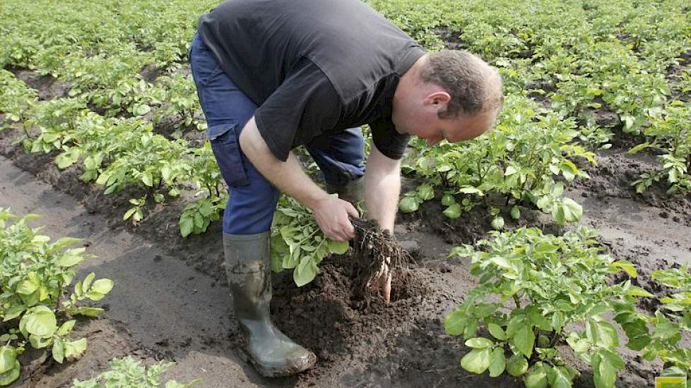 Zijn collega Rob Meeuwissen heeft ook problemen door de wateroverlast.