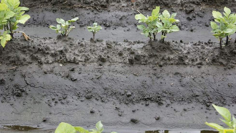 Duidelijk zichtbaar is hoe hoog het water in dit perceel heeft gestaan.