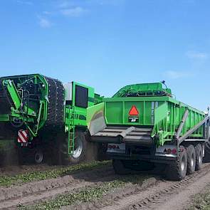 In Milheeze werden Premieres gerooid. De aardappelen worden direct op de vrachtauto geladen met behulp van een hooglosser. De opbrengst was beneden gemiddeld. Gevolg van de droogte aldus Han Kuunders.