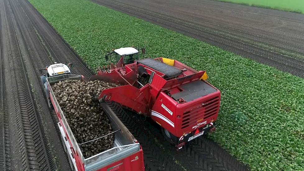 Bieten rooien met  6-rijige Maxtron 620 - www.akkerwijzer.nl