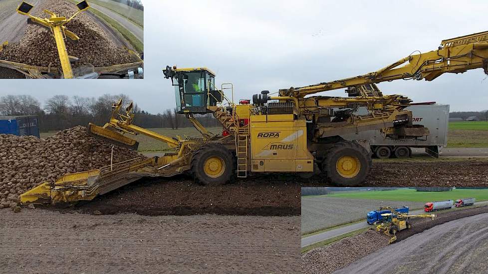 ROPA EURO MAUS 5 loading sugar beet | Zückerrüben überladen | cabview