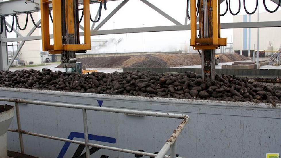 Per 1.800 ton wortels wordt een monster genomen.