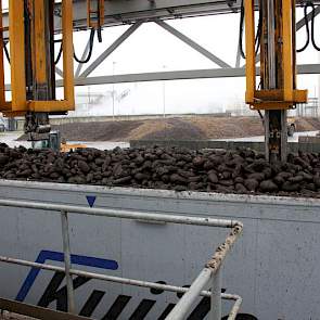 Per 1.800 ton wortels wordt een monster genomen.