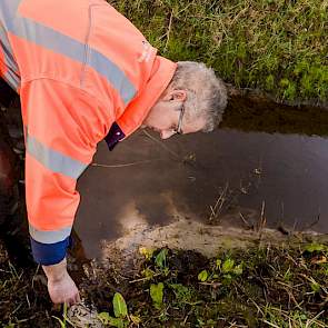 De zelfgemaakte afwatering via een pvc-buis veroorzaakt in de beek weliswaar enige uitspoeling, maar is volgens Boom nog binnen het toelaatbare.