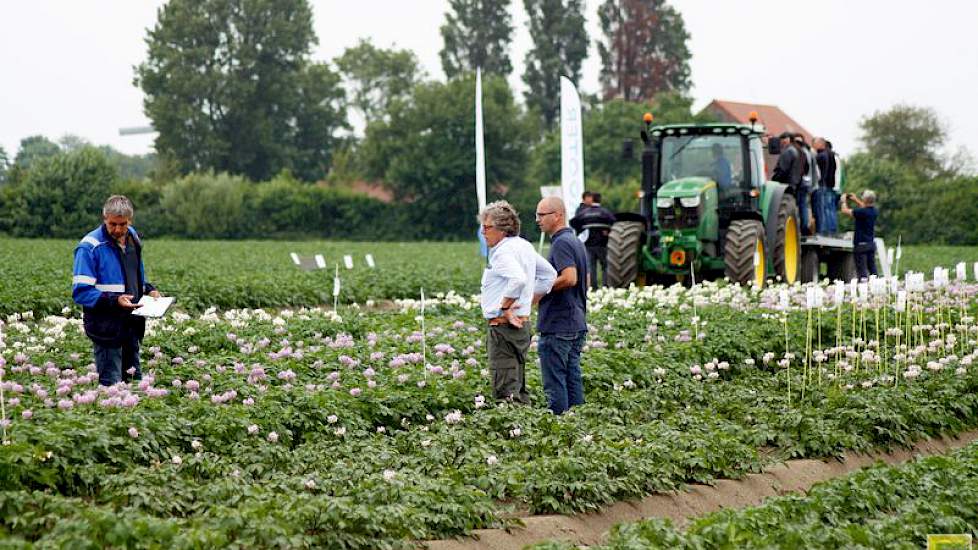 Overleg tussen de aardappelen, terwijl op de achtergrond een volgeladen platte kar wordt bijgepraat.