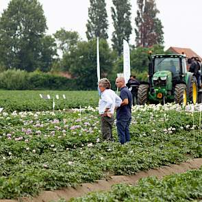 Overleg tussen de aardappelen, terwijl op de achtergrond een volgeladen platte kar wordt bijgepraat.