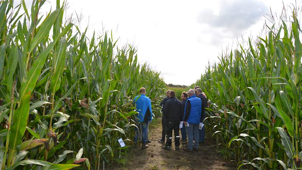 Na de aftrap van het evenement, werd de groep veehouders opgedeeld in acht groepen. Alle groepen volgden ook acht workshops. Bayer ging in op de actualiteit rond het toepassen van onderzaai of het direct inzaaien van het vanggewas bij de inzaai van de maï