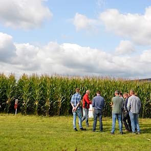 Limagrain toonde een aantal zeer vroege rassen met hoge cijfers voor zowel opbrengst als voederwaarde. Daarmee spelen ze in op de actualiteit rond het voor 1 oktober inzaaien van het vanggewas, wat volgend jaar verplicht wordt. „Een aantal zeer vroege ras