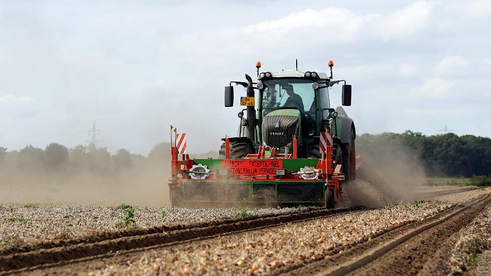 De teelt en de oogst is een samenwerking van drie partijen. Zo heeft akkerbouwer Berends zelf de grondbewerking en de beregening gedaan, loonbedrijf M. Feijen uit Nederweert het zaaien, kunstmest, gewasbescherming en nu ook het verladen van de uien. Tensl