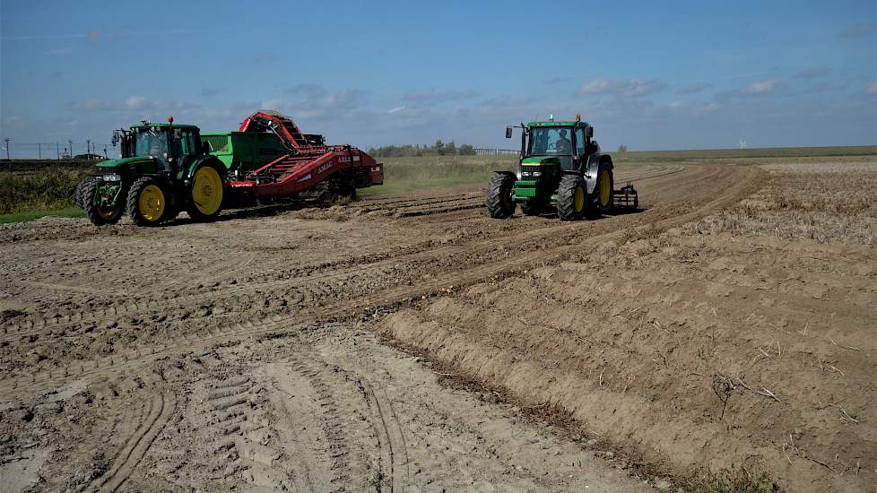 Op het gehuurde perceel van 4 hectare, pal aan de HSL-lijn, heeft Lucas in maatschap met zijn echtgenote Nella en hun zoons Gerrit en Arjan, dit jaar voor de eerste keer het ras Loreley van Agrico geteeld.