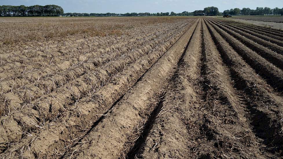 Lucas heeft de Loreley op donderdag verder met rust gelaten, in de verwachting dat er in de nacht naar vrijdag nog een paar millimeter regen zou gaan vallen die de scherpe kantjes van de kluiten afhalen. Vandaag of morgen wordt de rest waarschijnlijk gero