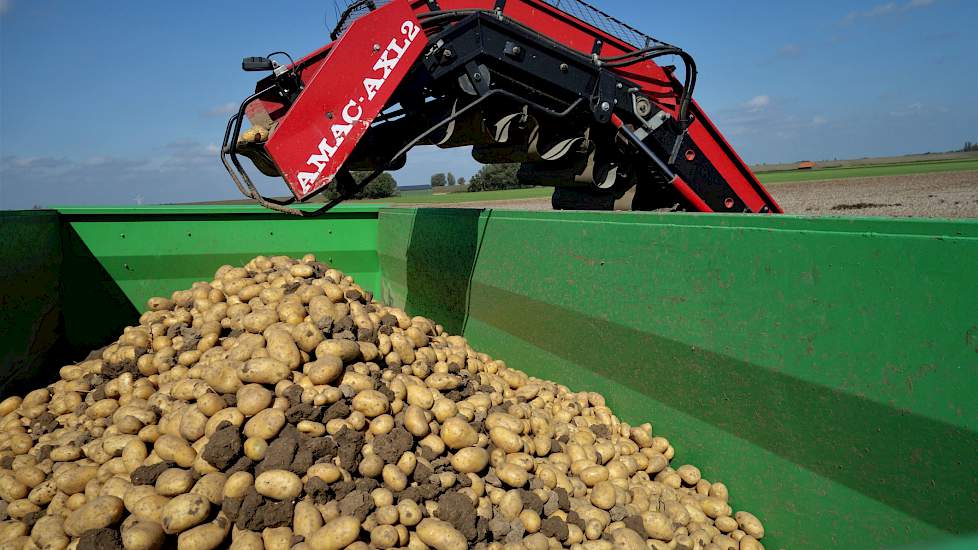 Lucas: „We hebben nu alleen de kopakkers gerooid. Aan de buitenkant zaten uiteindelijk toch te veel scherpe kluiten en de kans op beschadigingen aan de aardappelen is dan te groot.”