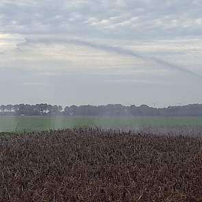 Niet alleen in de peen wordt beregend. Örjan Schrauwen uit Zevenbergen (NB) heeft een haspel in de aardappelen gezet om rooibeschadiging te voorkomen. „Om tijdens het rooien meer grond op de ketting tot achterin de machine te houden heb ik 17 millimeter o