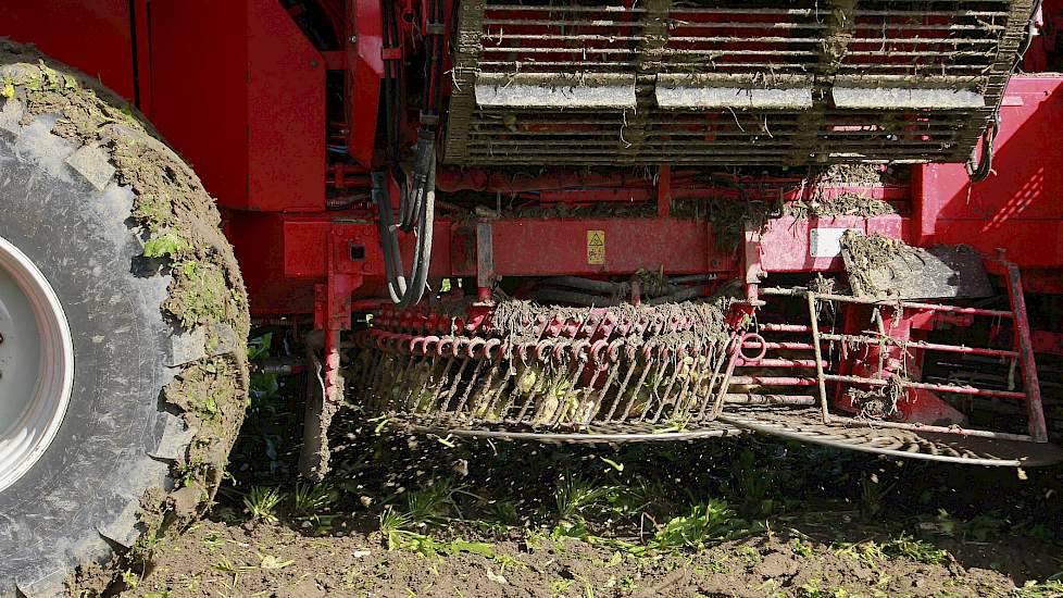 De door loonbedrijf Markvoort uit Schalkhaar met Beet Eater gerooide bieten zijn door vader en zoon zelf met de trekker en kipper vanaf het land op de bult langs de Rozendaalseweg gereden. De bieten zijn vrijwel meteen daarna met de bietenlader geladen vo