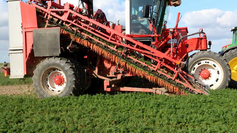 Boudeling heeft de peen deze zomer één keer beregend en had dat graag nog een keer willen doen, maar dat zit er nu niet meer in. „Het water in de sloot staat hier al op winterpeil. Er wordt geen zoet water meer ingelaten en daardoor is het water in de slo