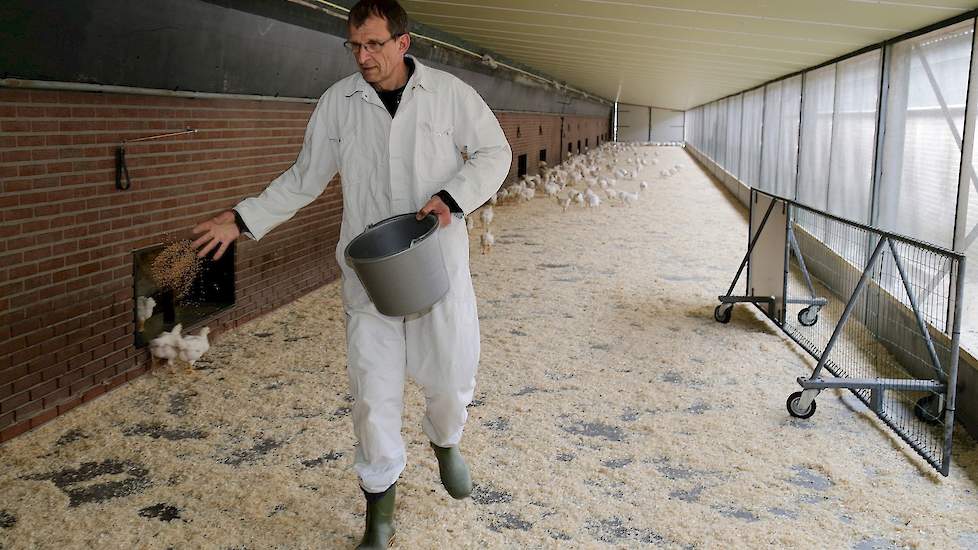 Het scharrelvleeskuikens concept heeft één ster van het ‘Beter Leven keurmerk’ van de Dierenbescherming doordat het aan deze welzijnseisen voldoet: lagere bezetting, overdekte uitloop, daglicht, strobalen in de stal en dagelijks graan strooien. Het concep