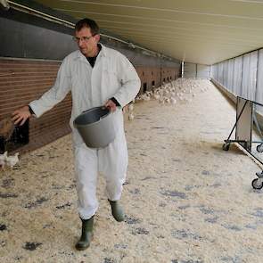 Het scharrelvleeskuikens concept heeft één ster van het ‘Beter Leven keurmerk’ van de Dierenbescherming doordat het aan deze welzijnseisen voldoet: lagere bezetting, overdekte uitloop, daglicht, strobalen in de stal en dagelijks graan strooien. Het concep