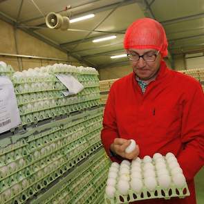 Henk Stiphout is zeven dagen per week op de werkvloer te vinden. ‘Even kijken naar de eikwaliteit, machines en contact met de medewerkers. Heel belangrijk,’ vertelt hij. Bij Egga Food werken ongeveer 75 medewerkers van diverse nationaliteiten. In het hoog