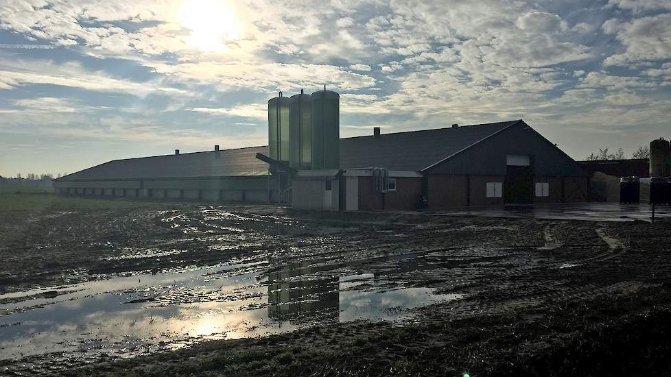 Maatschap van Ass bouwde op de locatie aan de Kempkensberg 2 een nieuwe stal voor 54.000 kuikens. In de toekomst is er nog ruimte voor een vierde stal op deze locatie. Het afgelopen jaar renoveerden ze ook de twee oudere stallen op dit bedrijf.