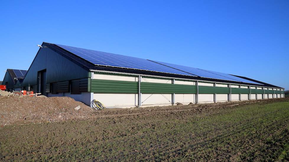 De vleeskuikenhouder plaatste, net als op stal 2 en de aardappelbewaarloods,  zonnepanelen op het dak van de nieuwe stal. „Ik ben gelukkig ingeloot voor de SDE subsidie anders had ik het niet gedaan”, zegt hij. Met de 1.330 zonnepanelen op beide daken is