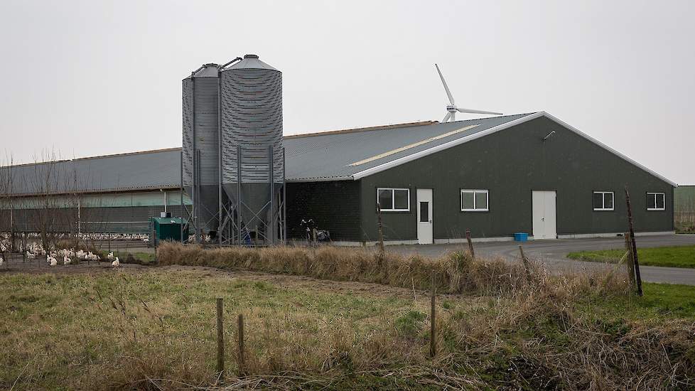 Hun nieuwste stal uit 2005 voor 33.000 hennen, die 200 meter verderop staat, beschikt net als nog één andere stal over vrije uitloop. De leghennenhouders hebben één vaste medewerker voor 40 uur per week in dienst en werken daarnaast met weekendhulpen, zod