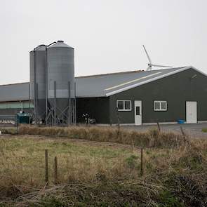 Hun nieuwste stal uit 2005 voor 33.000 hennen, die 200 meter verderop staat, beschikt net als nog één andere stal over vrije uitloop. De leghennenhouders hebben één vaste medewerker voor 40 uur per week in dienst en werken daarnaast met weekendhulpen, zod