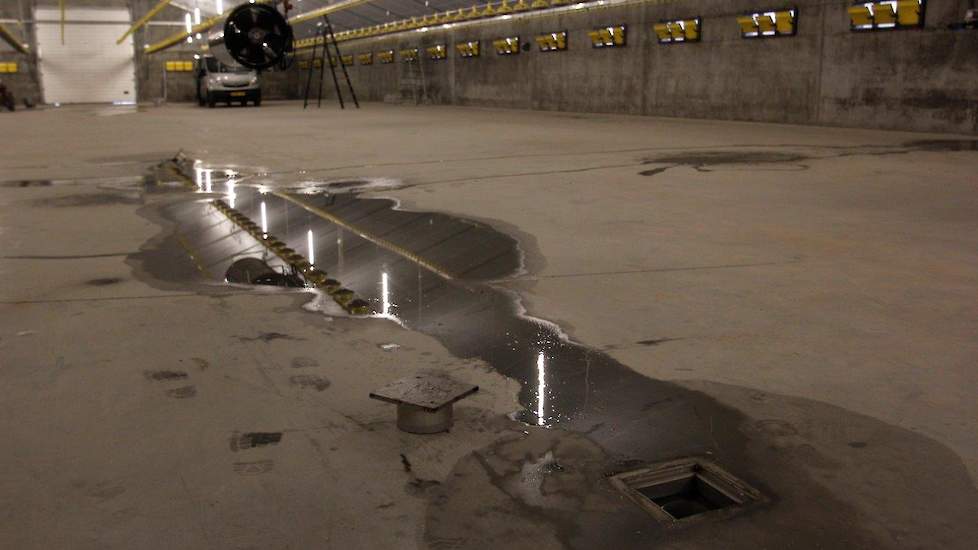 In het midden van de stal bevinden zich de afvoerputjes voor het water tijdens het schoonspuiten van de stal.