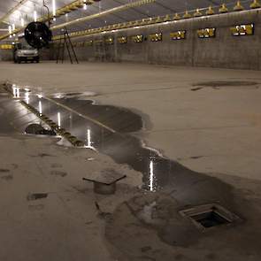 In het midden van de stal bevinden zich de afvoerputjes voor het water tijdens het schoonspuiten van de stal.