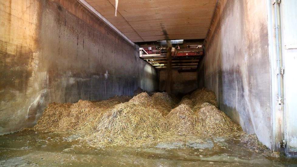 Het mengsel loopt via een zogenaamde hopper, over transportbanden en valt in laagjes via stortluiken in de bunkers waar het twee dagen blijft. Daarna wordt het mengsel geladen en via een stortbak via banden naar de indoorcompostering. Vanaf de aanvoer tot