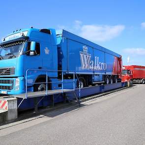 Alle wagens gaan bij aankomst over de weegbrug. De blauwe vrachtwagens zijn voor transport van het eindproduct: de compost die naar champignontelers gebracht wordt. De rode voor de aanvoer van paarden- of vleeskuikenmest.