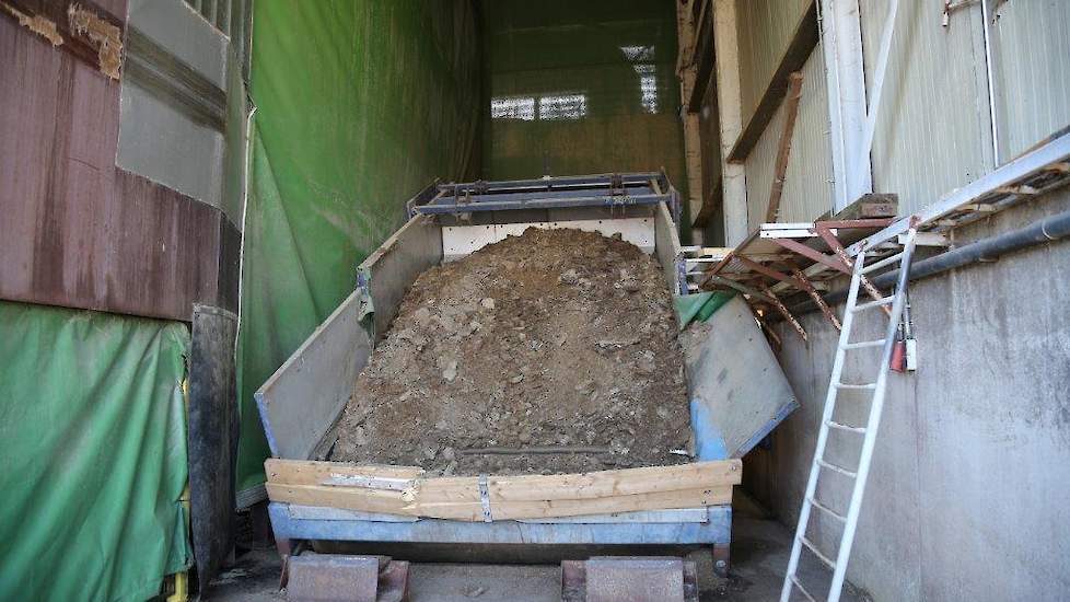 De containerwagen lost hier de pluimveemest. Vleeskuikenmest wordt toegevoegd als stikstofbron, het belangrijkste ingrediënt voor de voeding van de champignon. De bacteriën in de mest zorgen voor de fermentatie in het proces. Goede pluimveemest bevat mini