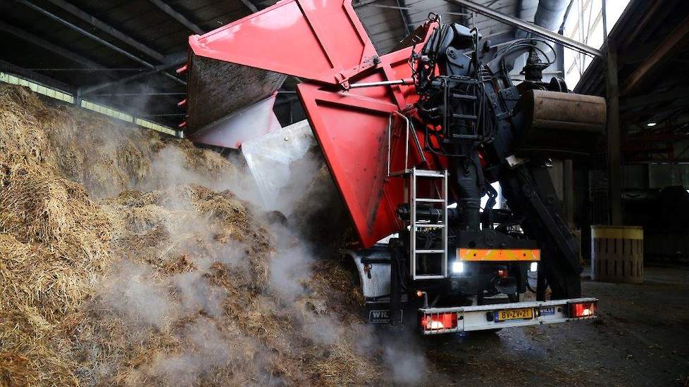 Het lossen van de paardenmest in de loods met een zijkipper. Paardenmest is stro met bacteriologisch leven dat goed is voor het verkorten van het fermentatieproces.