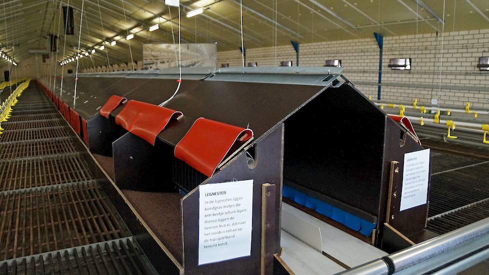 De stallen zijn 13 en 14 meter breed. In de twee nieuwste stallen staat een Van Gent legnest met een dubbele eierband. Sonja van Haandel: „Dat vind ik fijner werken; via de camera zie je aan welke kant van het nest bijvoorbeeld minder eieren liggen, dan k