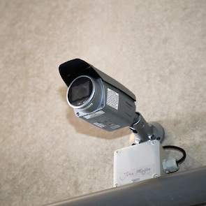 In elke stal hangt een Panasonic infra rood camera om het gedrag van de kuikens te kunnen bekijken en als beveiliging tegen inbraak. Van Zutven levert de kuikens aan Kees van Miert in Breukelen. „Elke partij kan hier inloggen en zo het gedrag van de kuike