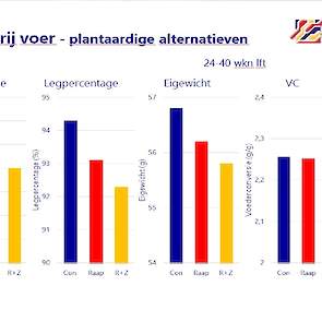 De Schothorst deed proeven met voer waarin sojaschroot werd vervangen door raapzaadschroot en gedeeltelijk met zonnebloemzaadschroot en gedeeltelijk met raapzaadschroot. In de controle groep bestond de voersamenstelling voor 8,2 procent uit sojaschroot. D